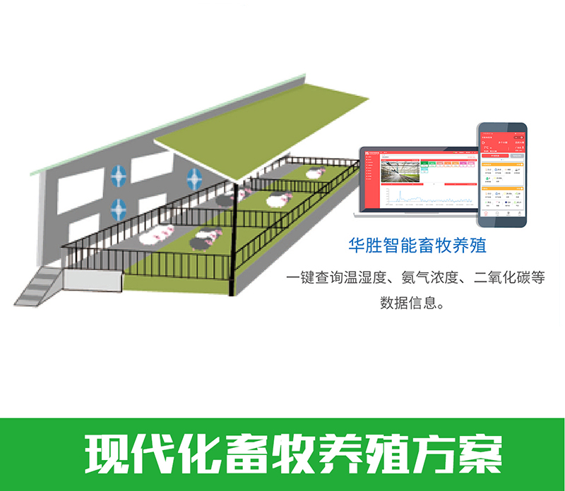 現代化畜牧養殖方案