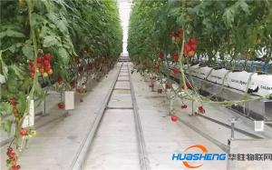 “植物工廠”成投資熱門，“智能農(nóng)業(yè)”成亮點