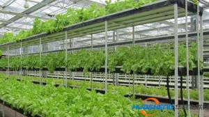 科技下鄉不能只是“擺個攤”