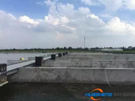 手機(jī)在手，千里外跑道養(yǎng)魚