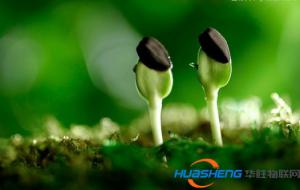 農業給了物聯網新的生機