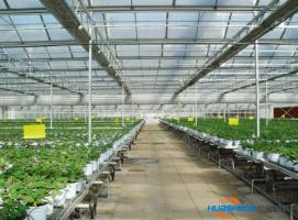 十三項措施助推楊凌設施農業實現億元增效