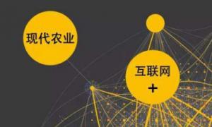大力發展“互聯網+農業” 提升農業生產效益