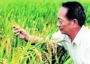 啟動(dòng)“智慧新農(nóng)人”培育工程，助力智慧農(nóng)業(yè)發(fā)展