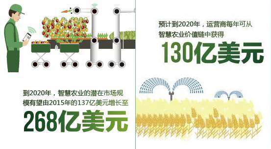 十年后，智慧農業或將成為世界口糧問題的主要解決方法