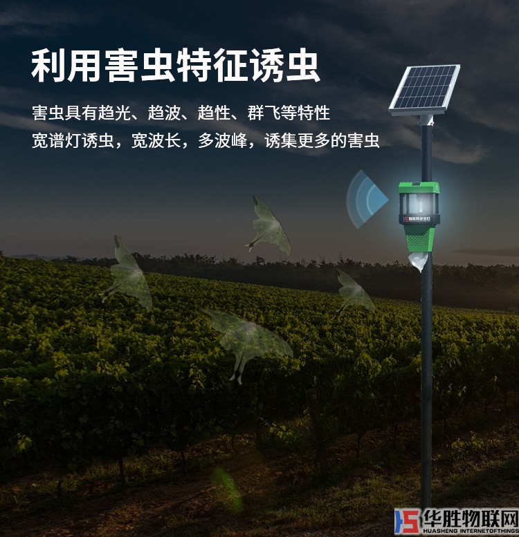 風吸式殺蟲燈_08.jpg